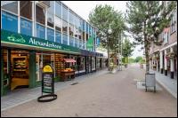 Torenstraat 17