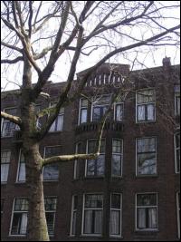 Rotterdam, Graaf Florisstraat 100-B